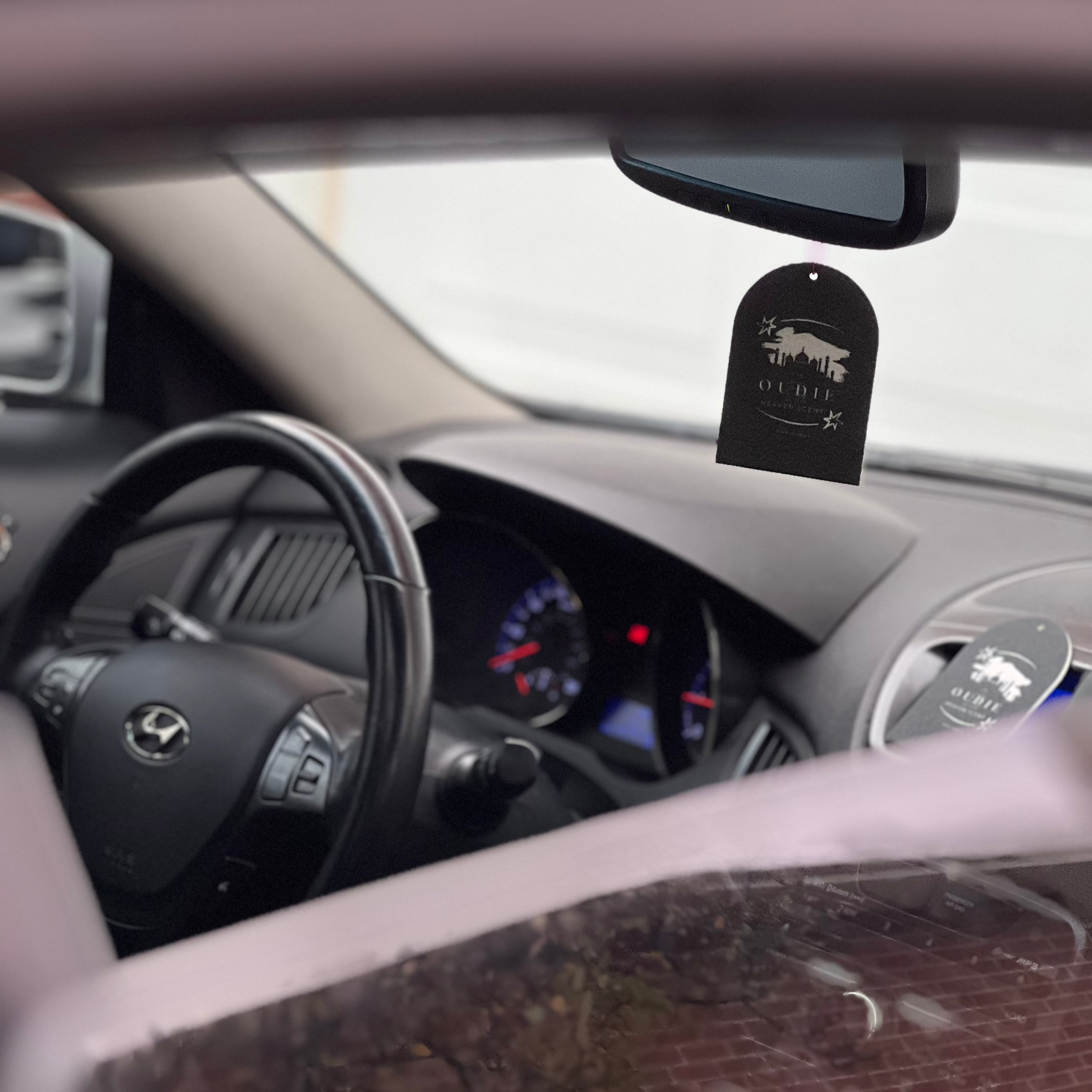 CAR FRESHENERS
