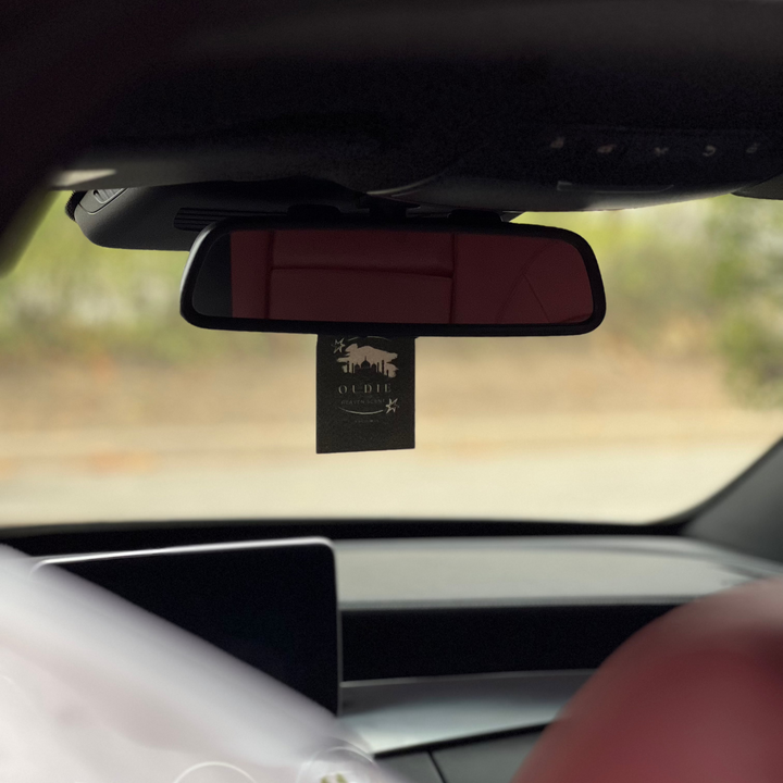 CAR FRESHNERS